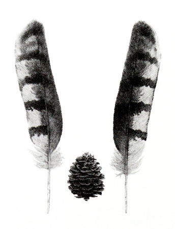 The Gift
