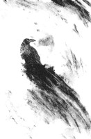 Muninn