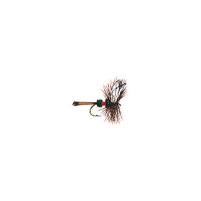 Royal Coachman